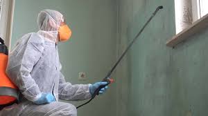 Best Basement Mold Removal  in Wade, MS